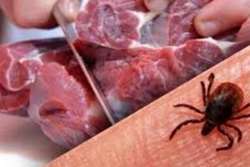 هشدار شبکه دامپزشکی درگز درخصوص رعایت نکات بهداشتی جهت جلوگیری از خطر انتقال بیماری تب کریمه کنگو 